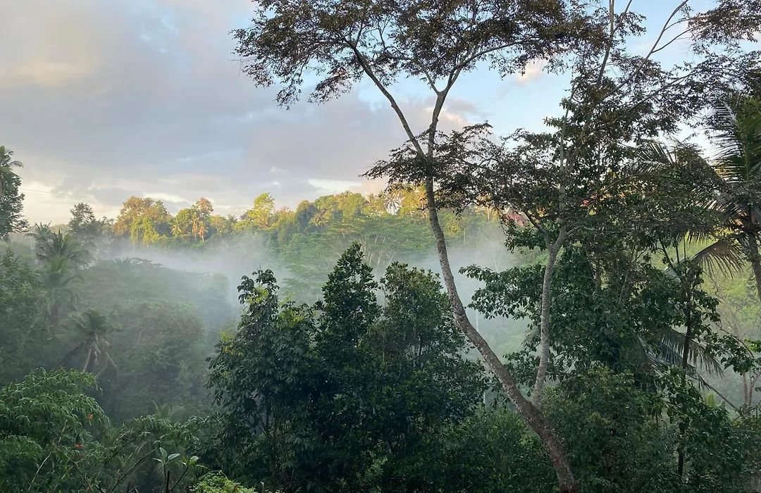 D'Tepi Ubud House-1