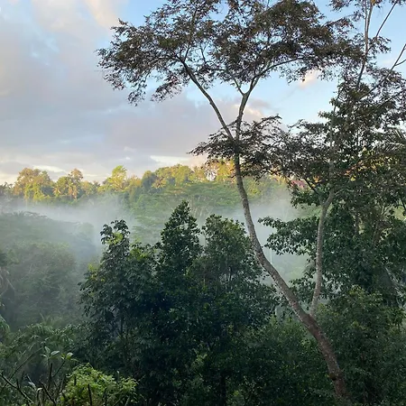 D'Tepi Ubud House-3